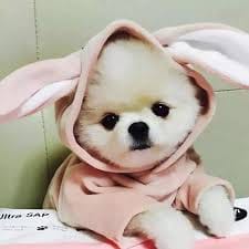 สุทธิเกียรติ จิราธิวัฒน์ avatar