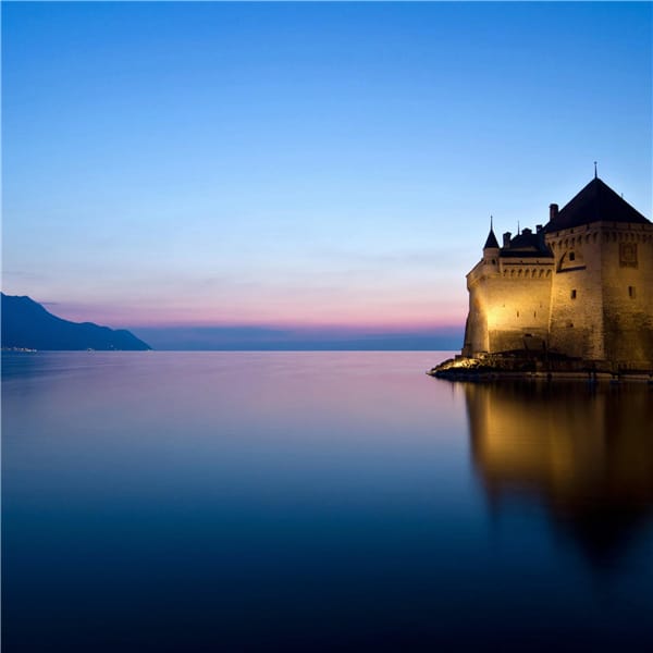 วี วิโอเลต avatar